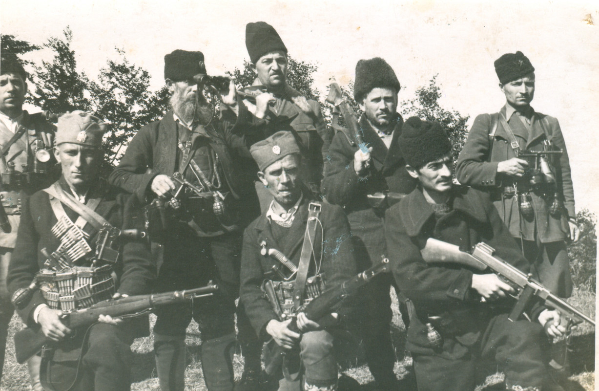 Chetniks and Partisans around Negotin Region