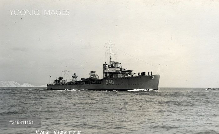 HMS Vidette